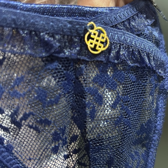 Daisy Fuentes 5 Pack Pretty Lace &  Mesh Thong/Panties, Sexy Stretch Comfort - Picture 9 of 10